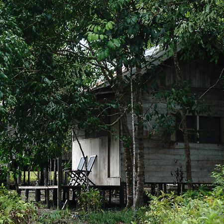 Orangutan & Restoration Camp Villa Kumai Exterior photo