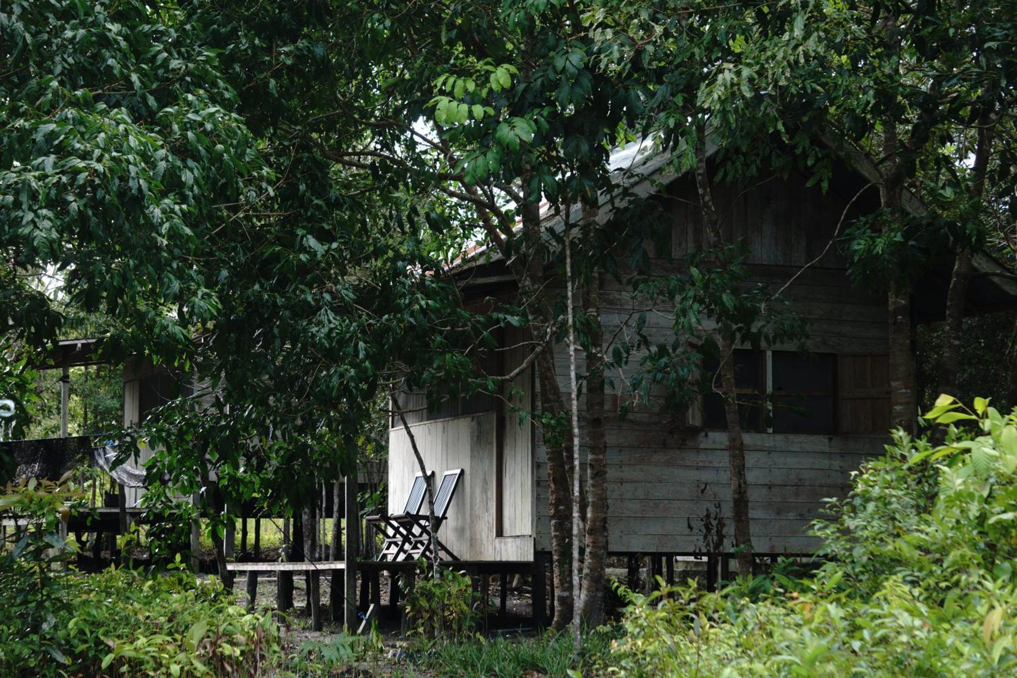 Orangutan & Restoration Camp Villa Kumai Exterior photo