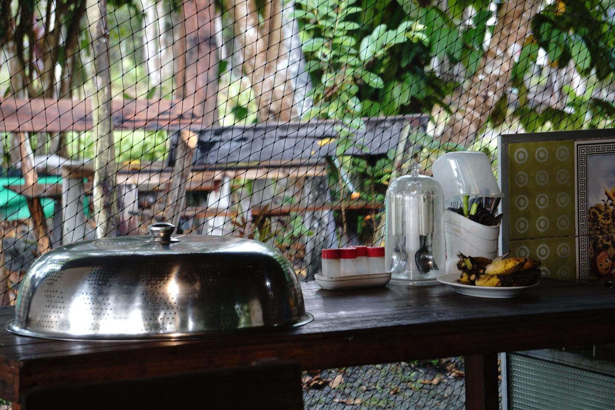Orangutan & Restoration Camp Villa Kumai Exterior photo