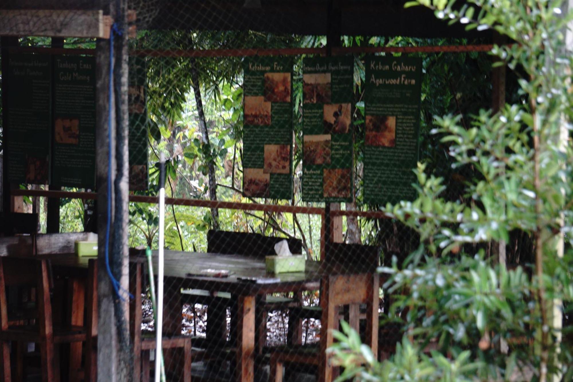 Orangutan & Restoration Camp Villa Kumai Exterior photo